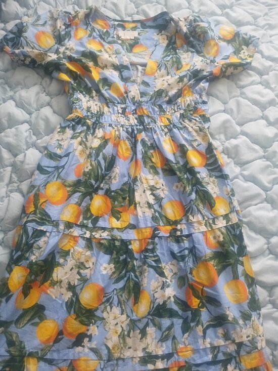 Anthropologie Dresses & Skirts - Anthropolgie lemon print maxi dress